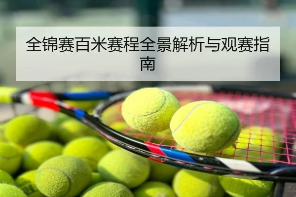 全锦赛百米赛程全景解析与观赛指南